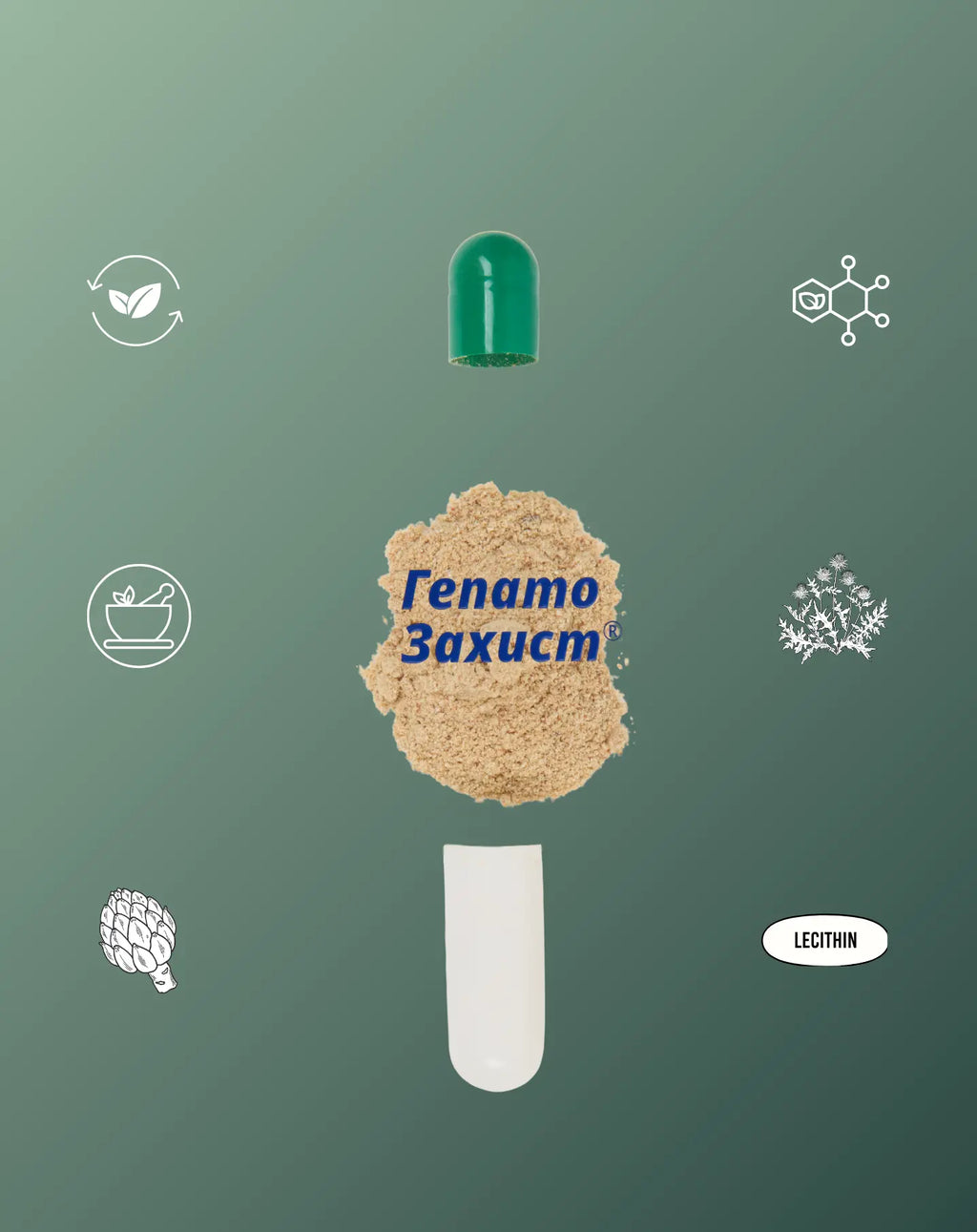 ДД "Гепатозахист" № 60