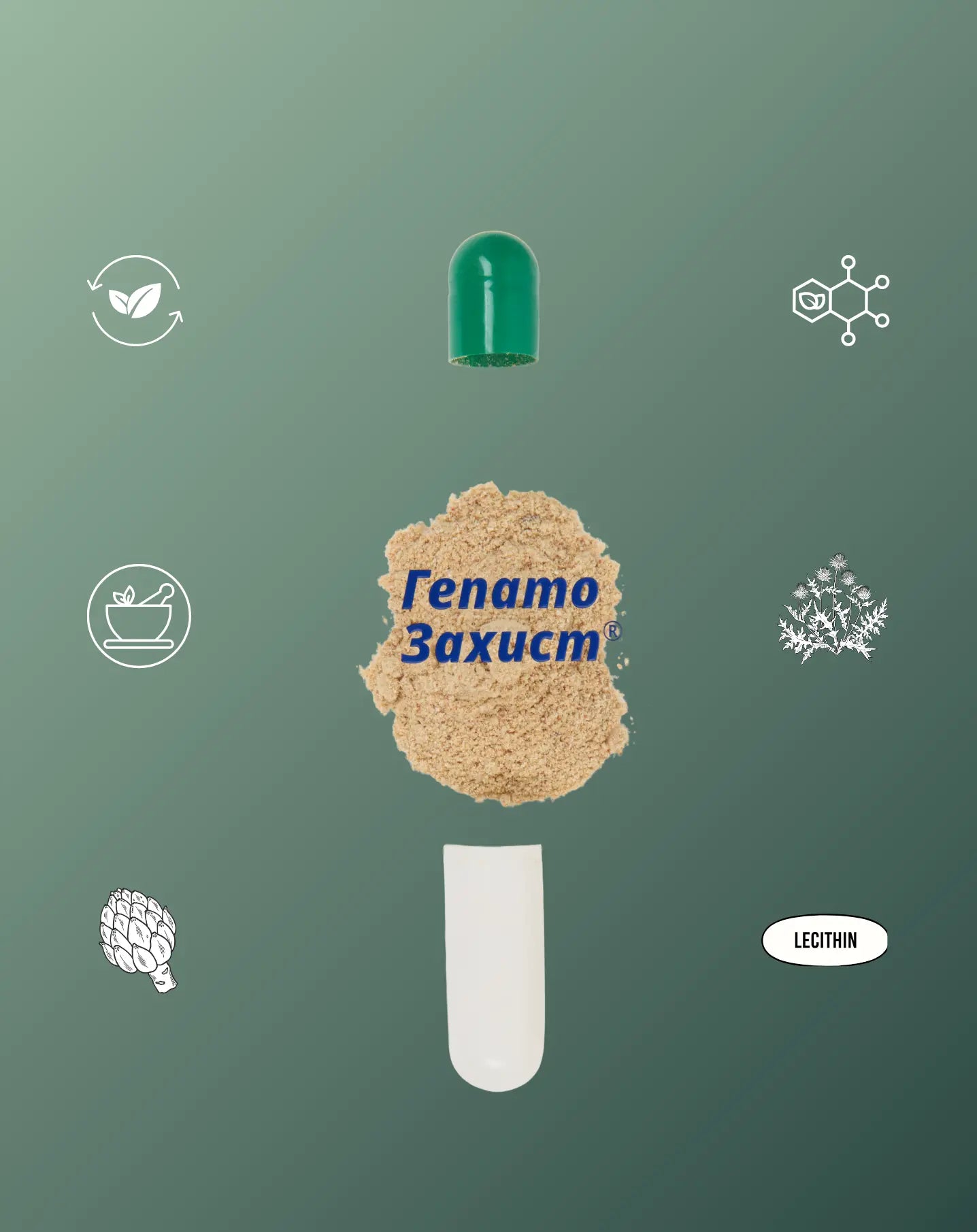 ДД "Гепатозахист" № 60